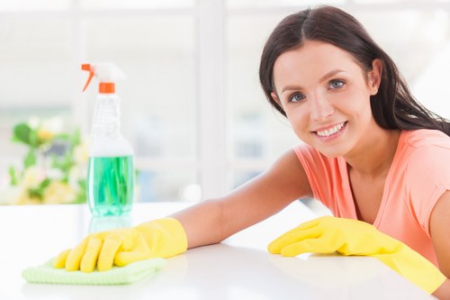 Professional steam carpet cleaning in a Collierswood home living room