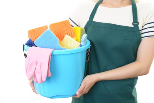 Professional window cleaning for homes in Collierswood