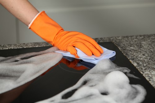 Professional stain removal for carpets in Collierswood
