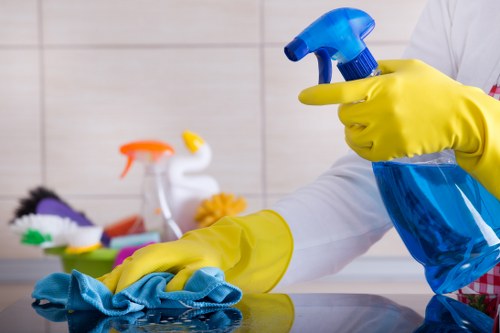Professional carpet cleaning for a Collierswood living room