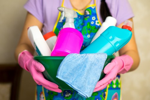 Upholstery and rug cleaning options for soft furnishings
