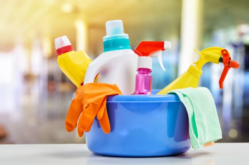 Domestic cleaning service in a Collierswood home living area