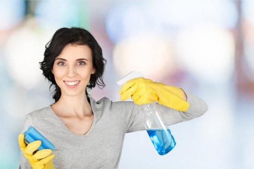 Local sofa cleaning service in Collierswood for family homes
