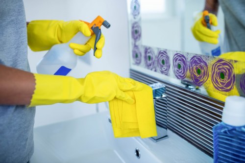 Detailed kitchen cleaning as part of a tenancy clean in Collierswood